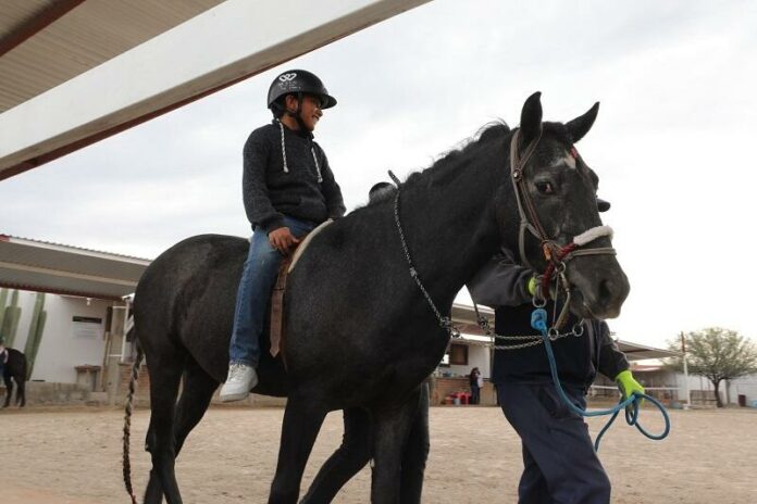 DIF Estatal de Querétaro mejora vidas con equinoterapia