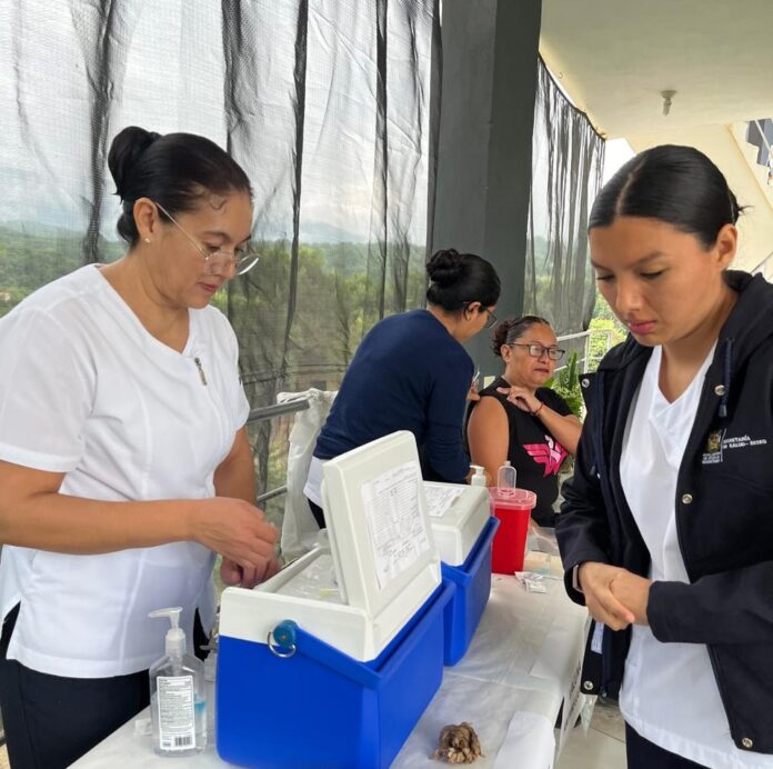 158 mil 959 dosis de vacuna contra la influenza han sido aplicadas en Querétaro