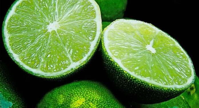 Labor del Ejército estabiliza el precio del limón en Michoacán a $3 pesos por kilo