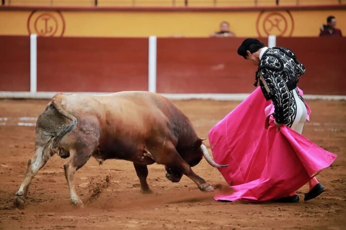 Alcalde confirma corridas de toros en Feria San Juan del Río 2025