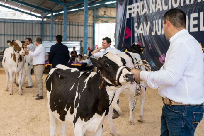 Feria de San Juan del Río 2025 apuntará a la calidad genética local y nacional