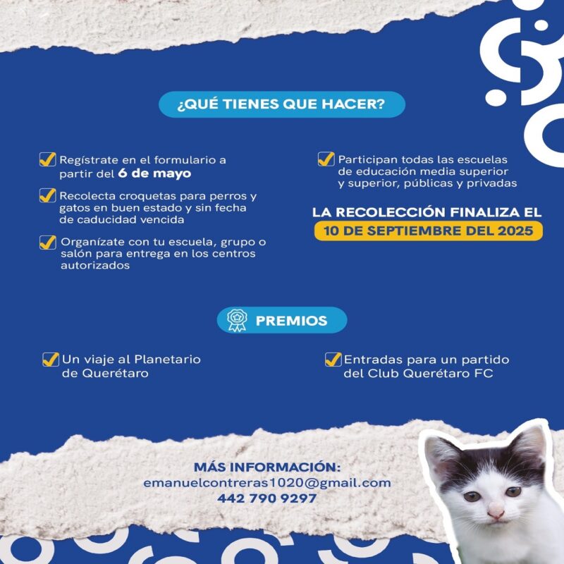 SEDEQ lanza el "Croquetón Escolar 2025" para apoyar a refugios animales