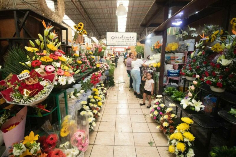 San Juan del Río espera derrama económica de 46 MDP por Día de las Madres
