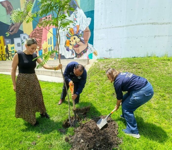 Celebran el Día del Medio Ambiente con reforestación en el Gómez Morin