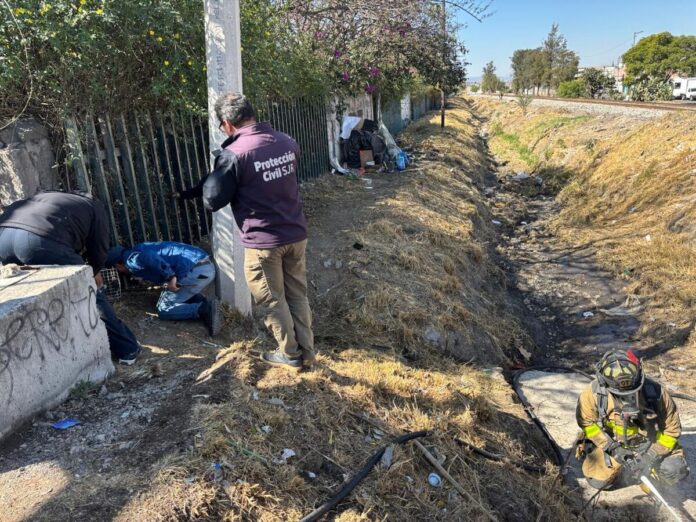 Fiscalía sentencia con 4 años de prisión a sujeto por crueldad animal en San Juan del Río