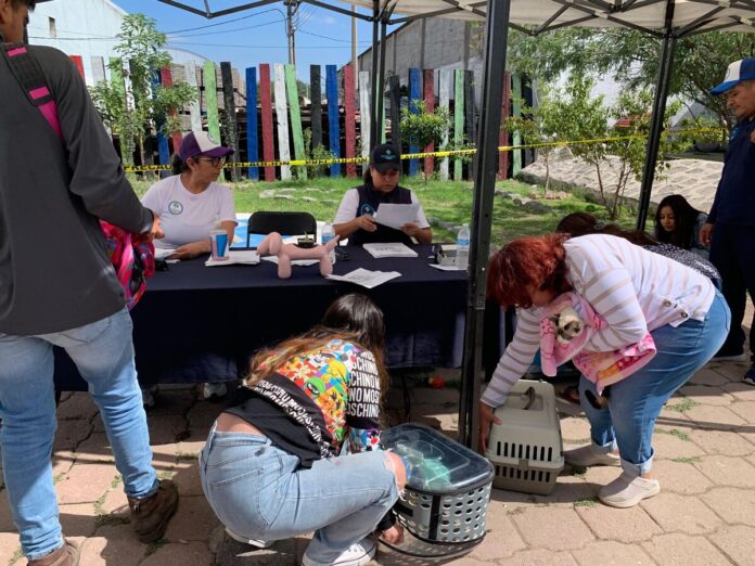 Más de 150 mascotas serán esterilizadas gratuitamente en campaña de Cuidado Animal en San Juan del Río