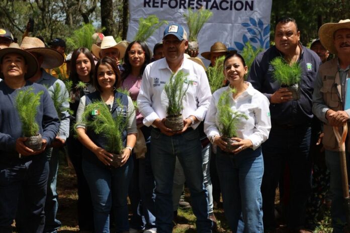 Suman casi 200 mil árboles en reforestación para el Estado: SEDEA