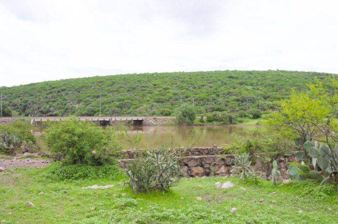 Autoridades de SJR activan protocolos de Protección Civil ante Ciclón Flossie