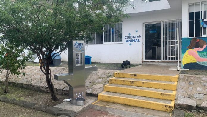 Cuidado Animal festeja 5 años en sus instalaciones junto al CECUCO