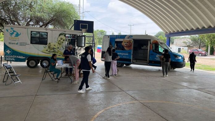 SESA realiza Jornada de Esterilización Canina y Felina en El Marqués