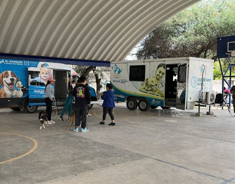 SESA realiza Jornada de Esterilización Canina y Felina en El Marqués
