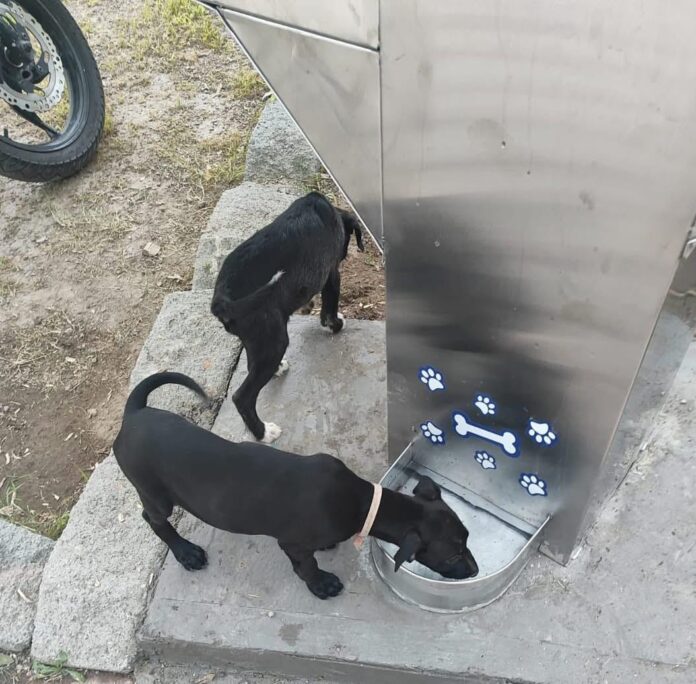JAPAM instala bebederos en Cuidado Animal SJR