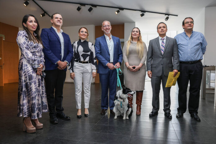 Poder Ejecutivo de Querétaro ingresa iniciativa de Ley de Bienestar Animal al Congreso