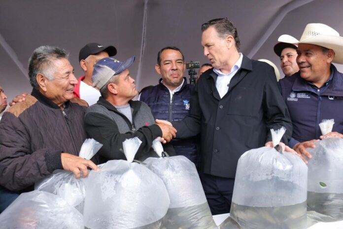 Querétaro impulsa producción de Tilapia; Sedea entrega 300 mil crías