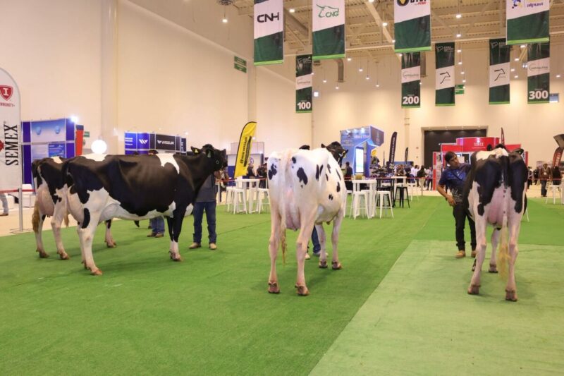 Realizan el décimo tercer Foro Nacional Holstein en Querétaro
