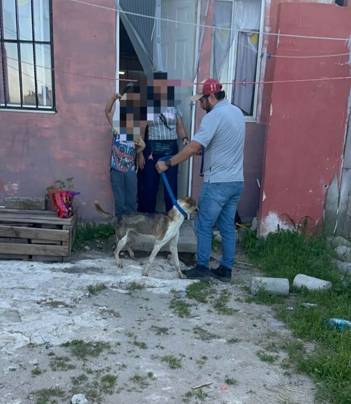 Rescatan perrita en abandono; dueña será sancionada