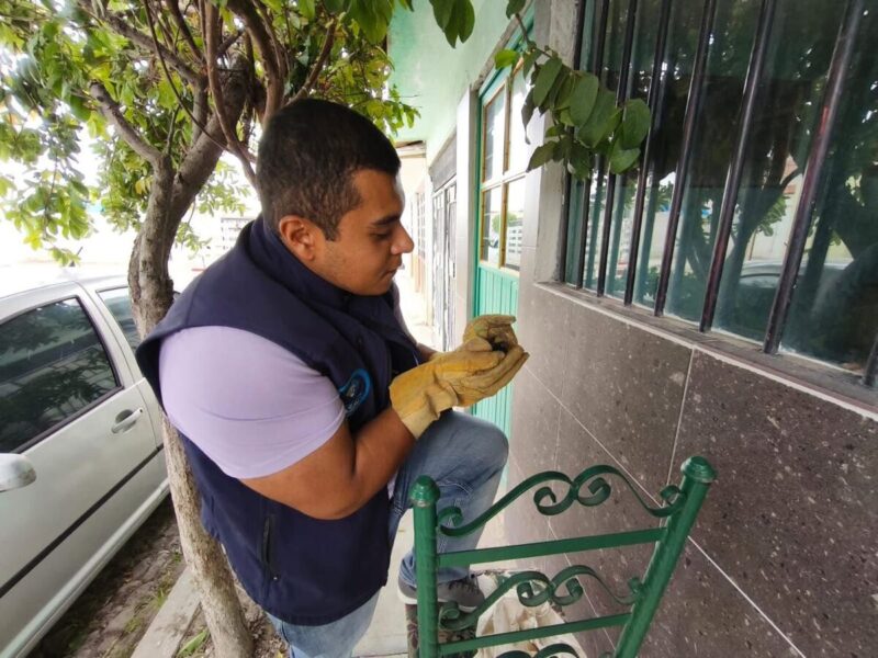 Cuidado Animal rescata y libera a murciélago en San Juan del Río