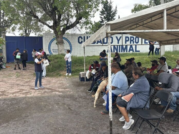 Más de 100 animales fueron esterilizados en campaña gratuita en SJR