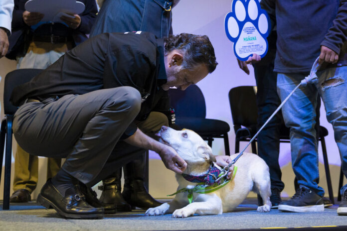 Arranca Croquetón Escolar 2025 en Querétaro para apoyar el bienestar animal
