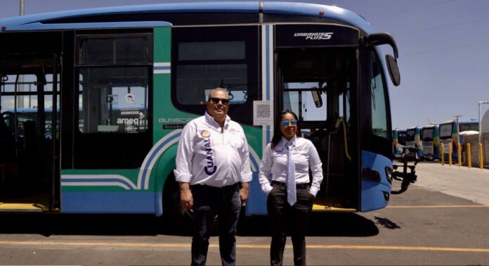 Borrador automático