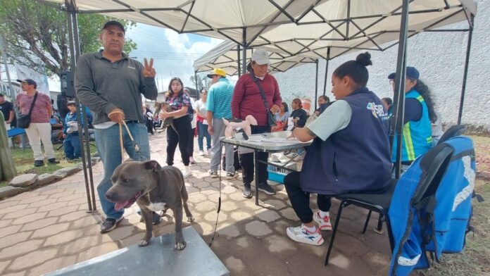 Realizan cuarta jornada masiva de esterilización; superan 2,700 cirugías gratuitas en SJR