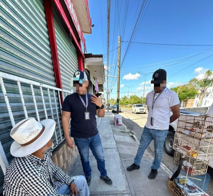 Cuidado Animal decomisa aves silvestres, fueron liberadas en San Juan del Río y Amealco