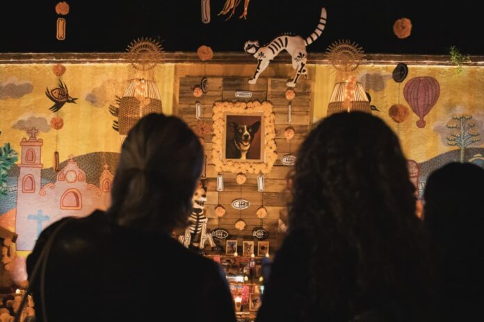 Inauguran “Huellitas de Luz” en Tequisquiapan, un altar comunitario para honrar a mascotas fallecidas Inauguran “Huellitas de Luz” en Tequisquiapan, un altar comunitario para honrar a mascotas fallecidas