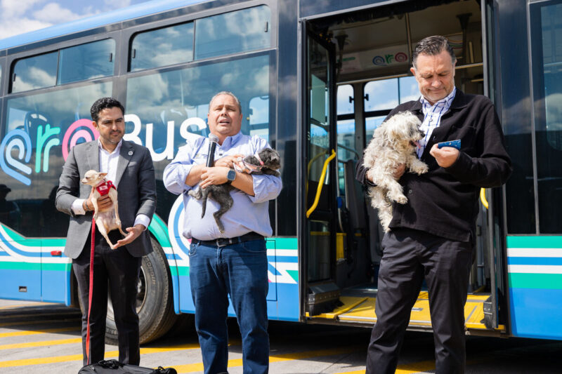 Querétaro contará con Sistema Qrobús Pet Friendly