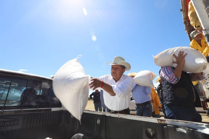 SEDEA entrega 29 toneladas de semilla de avena a productores afectados de Colón