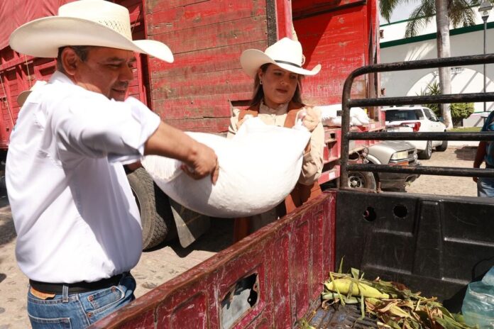 SEDEA entrega más de 35 toneladas de semilla para impulsar a productores de la Sierra