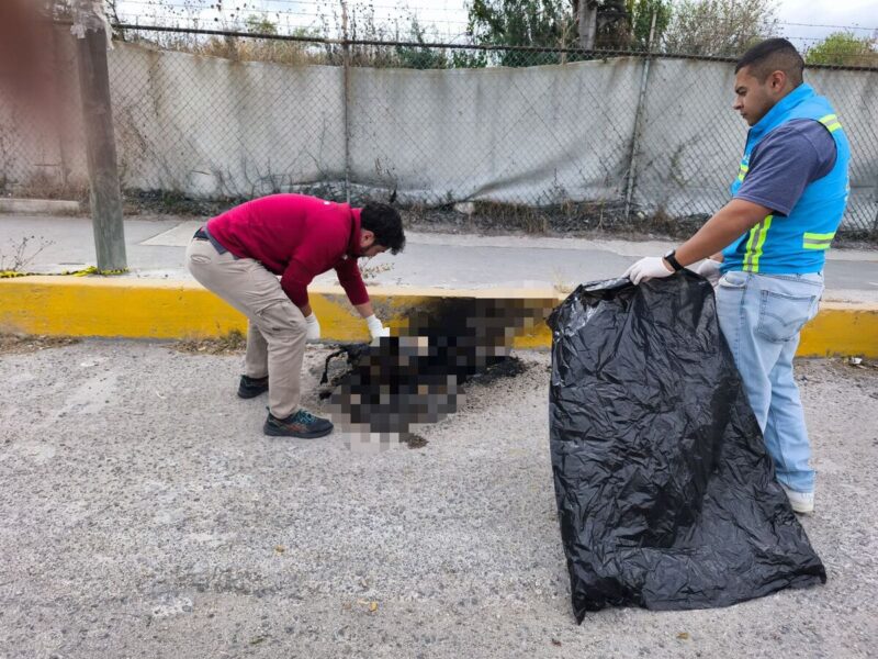 Localizan restos de un perro calcinado en el Nuevo Parque Industrial de San Juan del Río