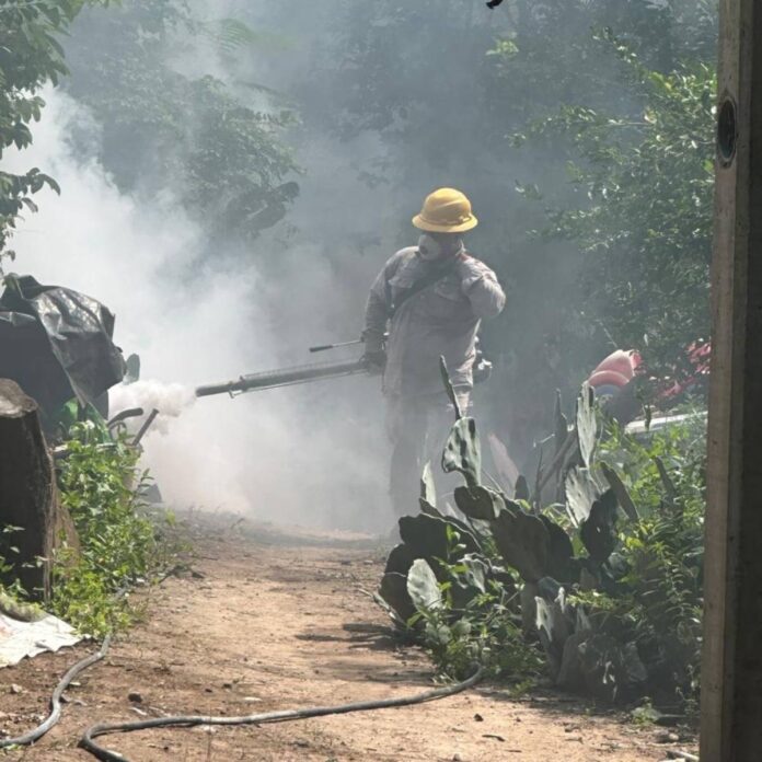 Impulsa SESA acciones preventivas contra el dengue