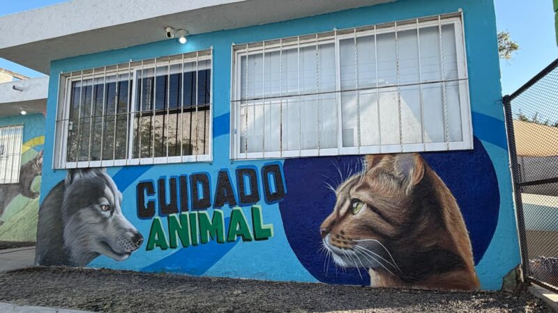 Inauguran mural en la Dirección de Cuidado, Protección y Control Animal SJR