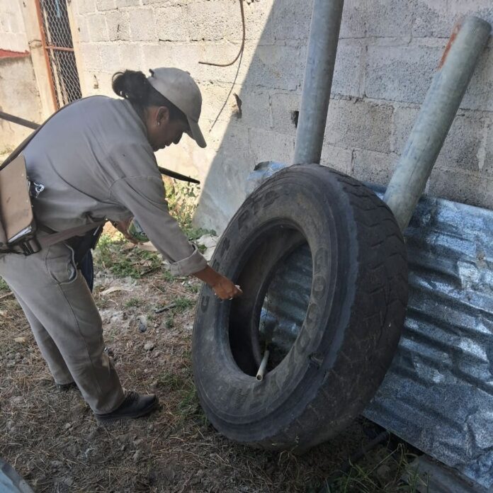 SESA mantiene monitoreo y llama a reforzar la prevención ante casos de Dengue en Querétaro