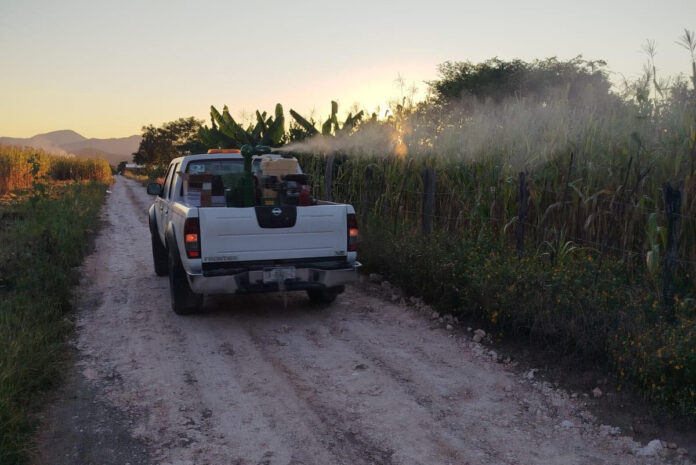 SESA pide reforzar medidas para prevenir el dengue en Querétaro