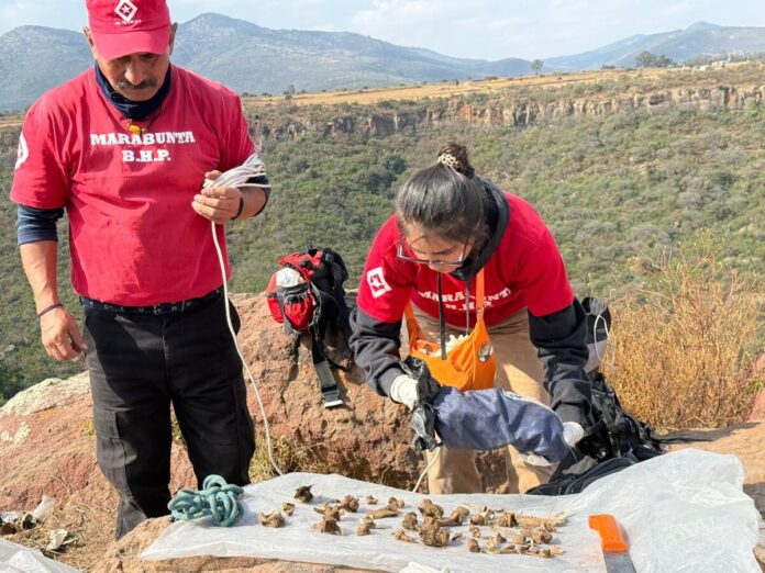 Reactiva búsqueda Colectivo Desaparecidos Querétaro; hallan restos óseos en SJR