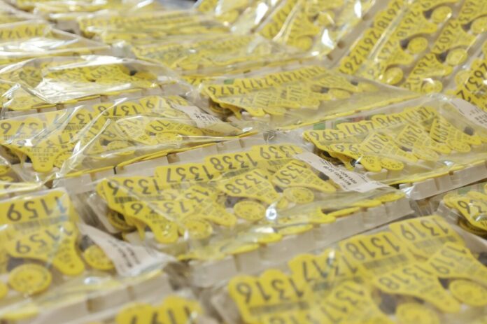 SEDEA entrega 20 mil aretes identificadores para mejorar la trazabilidad del ganado