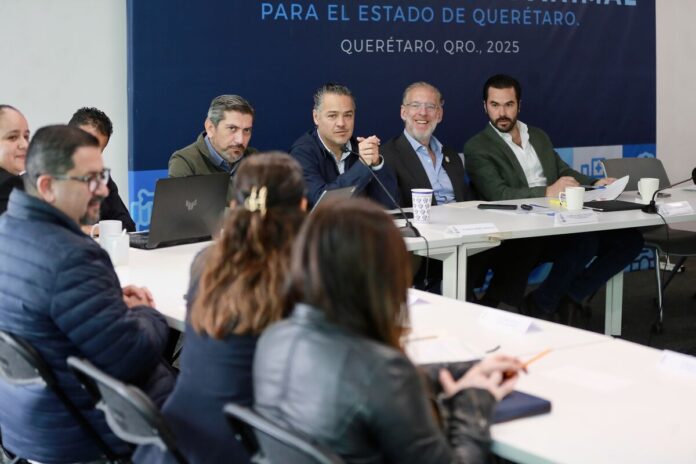 SEDESU y municipios analizan la Iniciativa de Ley de Bienestar Animal para garantizar su aplicación efectiva