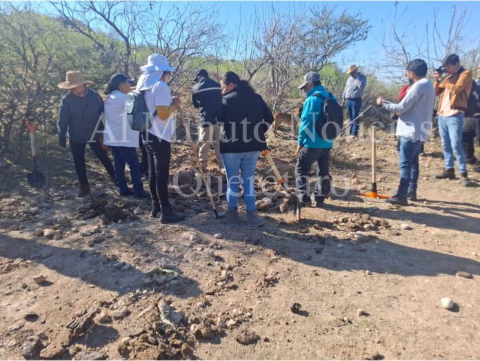 Localiza Colectivo Desaparecidos Querétaro restos humanos en La Llave SJR