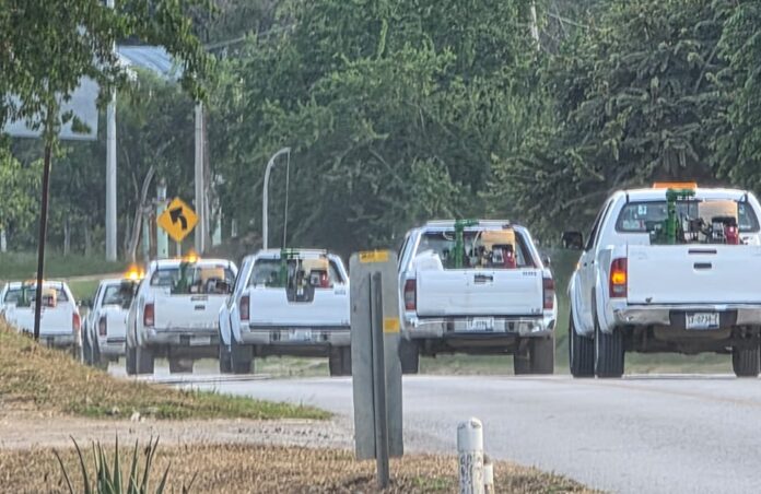 Refuerza SESA vigilancia epidemiológica tras registrar 100 casos de dengue en Querétaro durante 2025