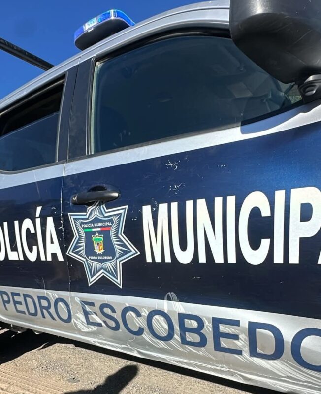 Neutralizan a toro tras embestir a ciudadanos y policías en Pedro Escobedo