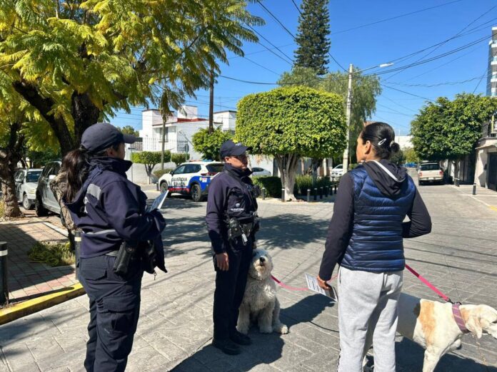 Fortalece Querétaro la seguridad ciudadana con incremento en acciones de Justicia Cívica