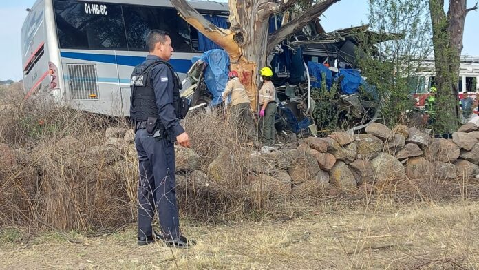 Choque de autobús Amealcenses deja 9 muertos y 14 heridos