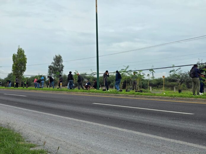 Siembran 200 árboles frente al Centro Expositor en jornada masiva de reforestación