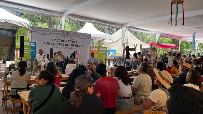 Tequisquiapan florece con la quinta edicion de la Expo Cactus y otras Suculentas 2026