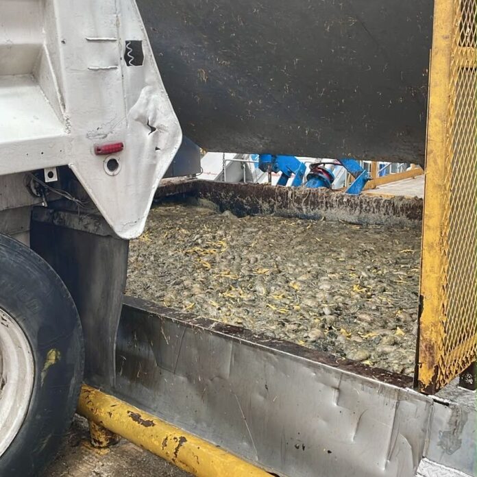Ordena PEPMADU suspensión temporal a procesadora de alimentos en El Marqués por emisión de olores