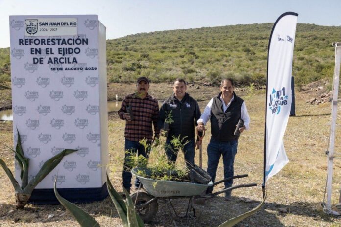 JAPAM fortalece acciones de reforestación para la recarga del acuífero con jornada en el Ejido Arcila