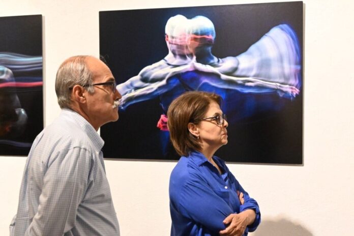 Presenta la Galería Libertad cuatro exposiciones en su quinta temporada de 2026