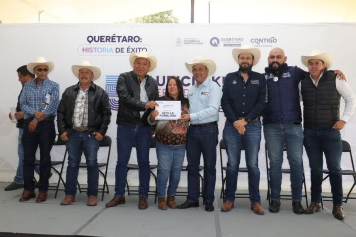 Entrega la SEDEA más de 119 toneladas de semilla forrajera a productores de Amealco