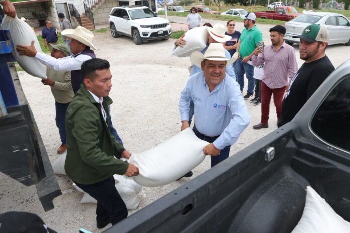 Entrega SEDEA más de 190 toneladas de semilla forrajera en el semidesierto queretano